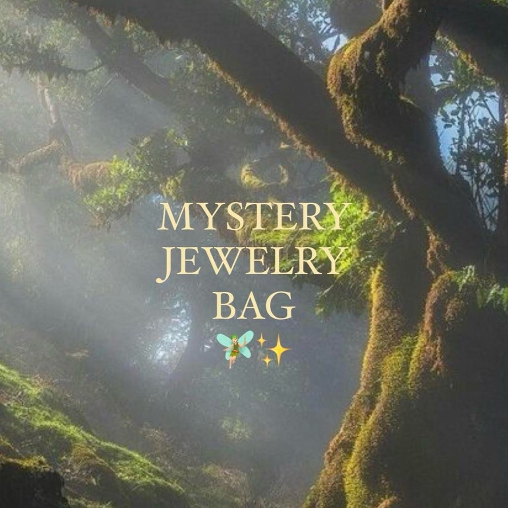 Mystery Jewelry Bag